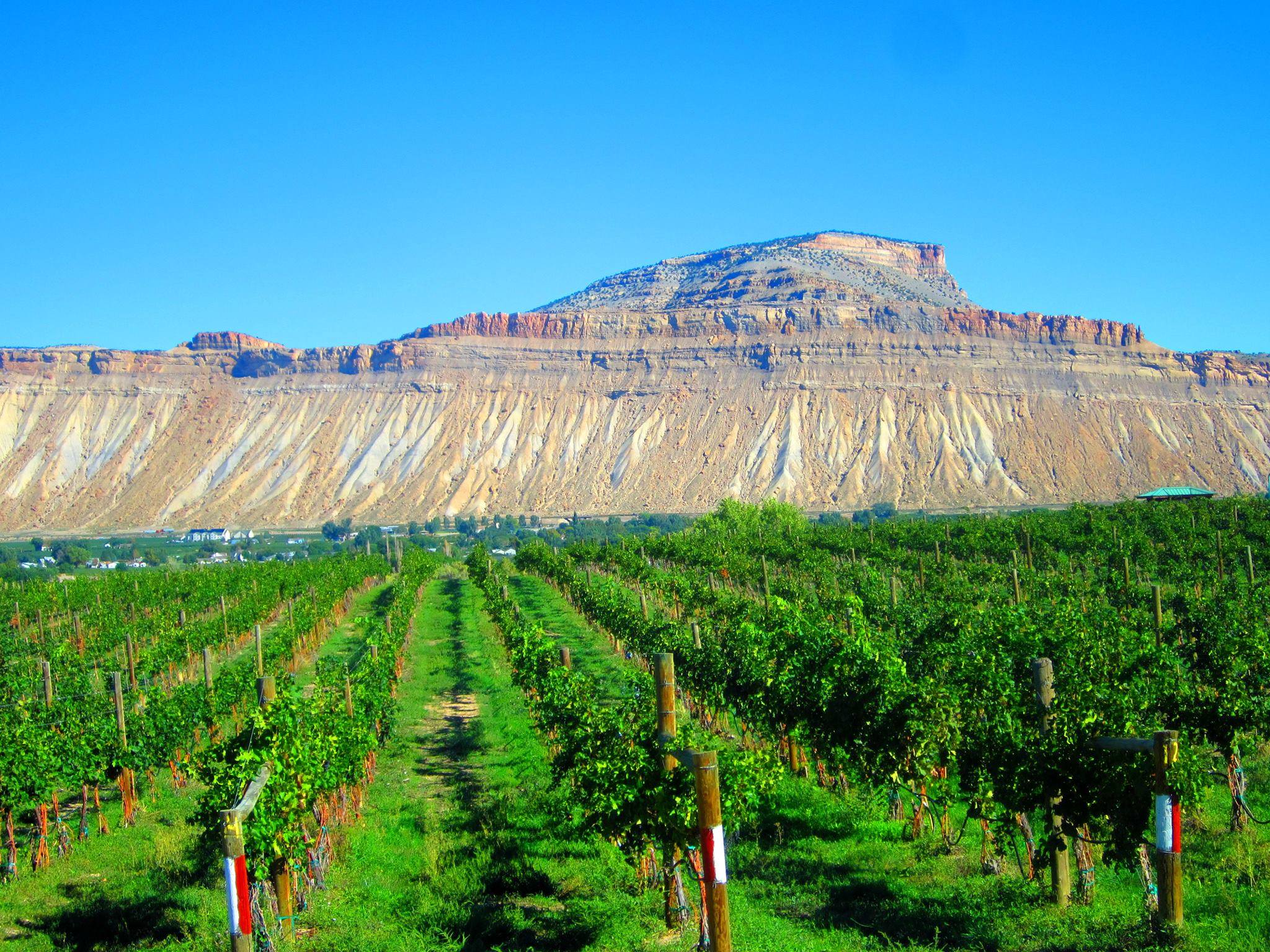 Palisade Wine Country